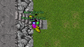 Asca Gerin on screen
