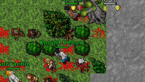 Knight Rebow on screen