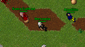 Herowix on screen