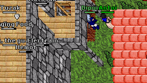 Electrain on screen