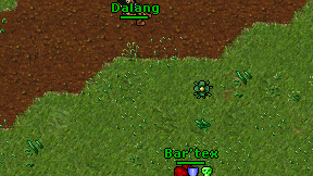 Dalang on screen