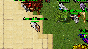 Druid Flores on screen