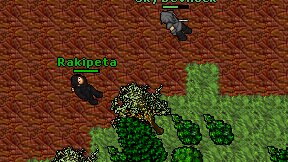 Rakipeta on screen