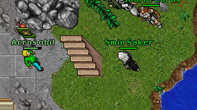Smin Saker on screen