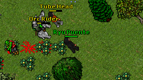 Ryu Puente on screen