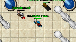 Bellako Flow on screen