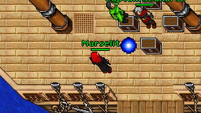 Marselit on screen