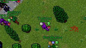 Talitus on screen