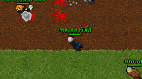 Melon Mad on screen