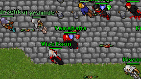Wize Exon on screen