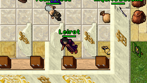 Leirot on screen