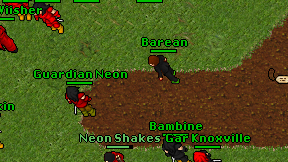 Barean on screen
