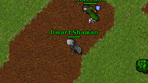 Dwarf Shaman on screen