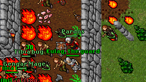 Pardos on screen