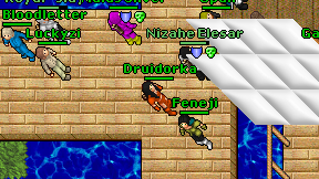 Druidorka on screen