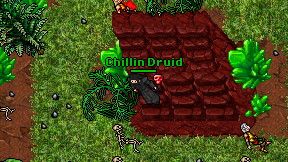 Chillin Druid on screen
