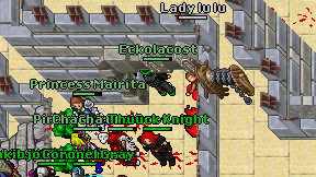 Eckolacost on screen