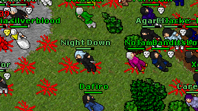 Night Down on screen