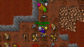 Nittunk on screen