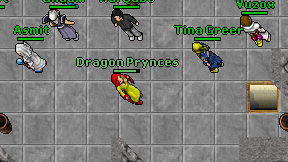 Dragon Prynces on screen