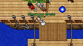 Blackyss druid on screen