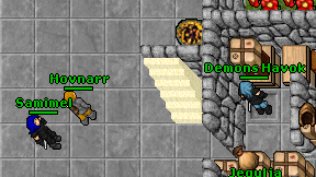 Demons Havok on screen