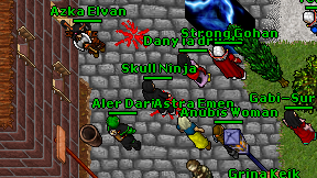 Skull Ninja on screen