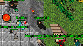 Gusetid on screen