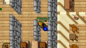 Plesha on screen