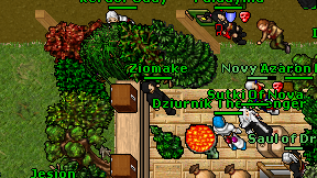 Ziomake on screen
