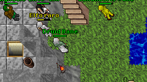 Druid Bane on screen
