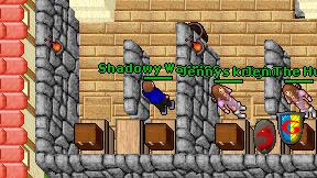 Shadowy Warrios on screen
