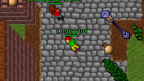 Lindyyluf on screen