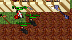 Nutrinho on screen