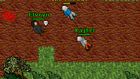 Kajtel on screen