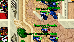 Vizcerate on screen