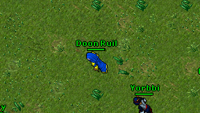 Doon Ruil on screen