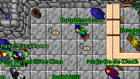 Dolphinstorm on screen