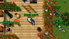 Dogi sork on screen