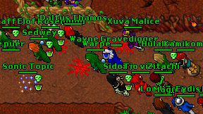 Warpe on screen