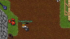 Napitajo on screen