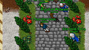 Murderoon on screen