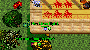 Northen light on screen