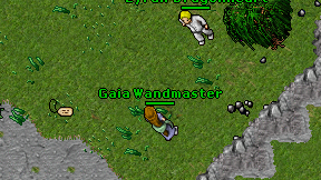 Gaia Wandmaster on screen