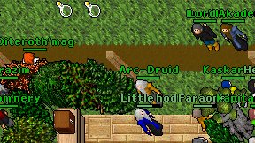 Arc-Druid on screen