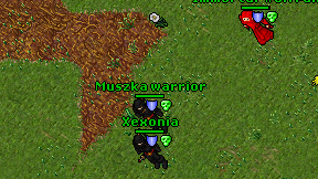 Muszka warrior on screen