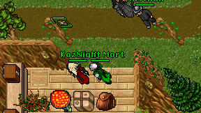 Night Mort on screen