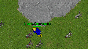 Lore Dursous on screen