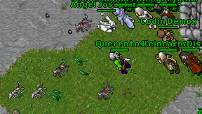 Querentos on screen