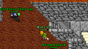 Widz'ek on screen